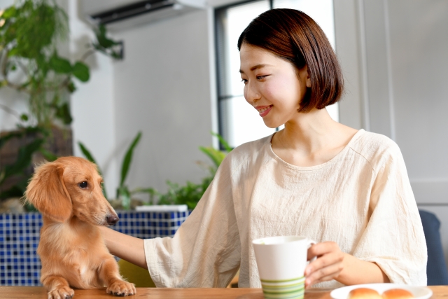 Person signing documents